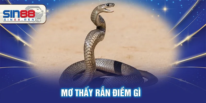 Mơ Thấy Rắn Điềm Gì? Giải Mã Giấc Mơ Lô Đề Về Loài Rắn