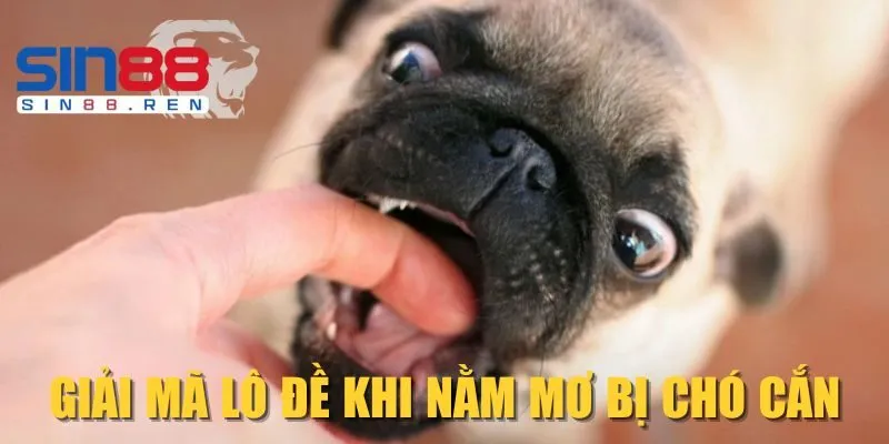 Giải mã lô đề khi nằm mơ bị chó cắn