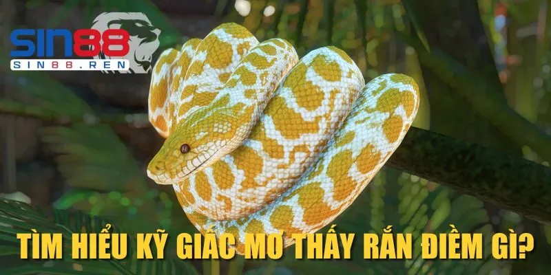 Tìm hiểu kỹ giấc mơ thấy rắn điềm gì?